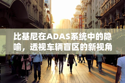 比基尼在ADAS系统中的隐喻，透视车辆盲区的新视角？