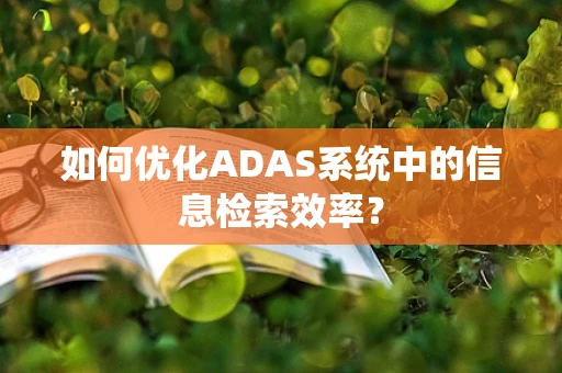 如何优化ADAS系统中的信息检索效率？
