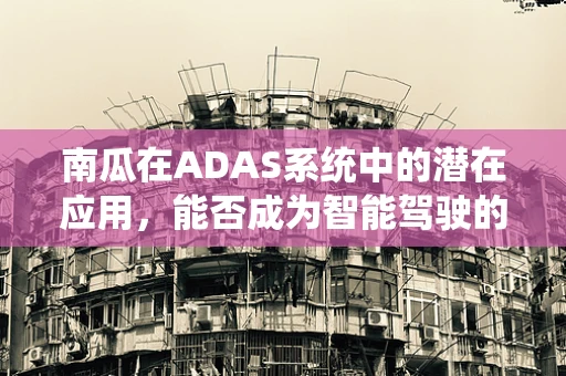 南瓜在ADAS系统中的潜在应用，能否成为智能驾驶的‘黄金眼’？