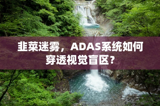 韭菜迷雾，ADAS系统如何穿透视觉盲区？