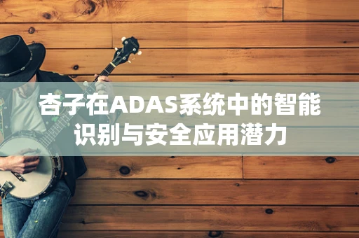 杏子在ADAS系统中的智能识别与安全应用潜力