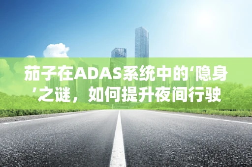 茄子在ADAS系统中的‘隐身’之谜，如何提升夜间行驶安全？