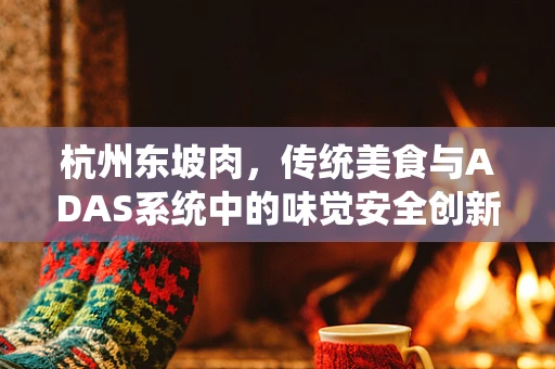 杭州东坡肉，传统美食与ADAS系统中的味觉安全创新？
