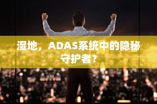 湿地，ADAS系统中的隐秘守护者？