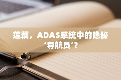 莲藕，ADAS系统中的隐秘‘导航员’？
