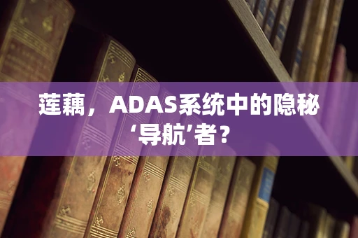 莲藕，ADAS系统中的隐秘‘导航’者？