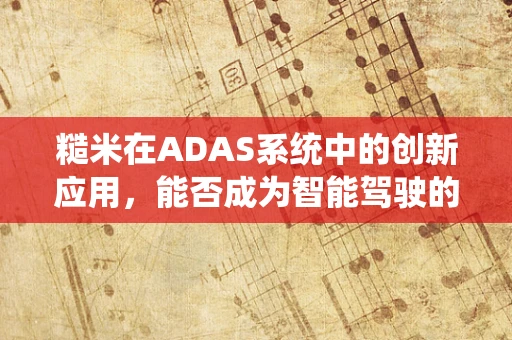 糙米在ADAS系统中的创新应用，能否成为智能驾驶的‘营养’新星？