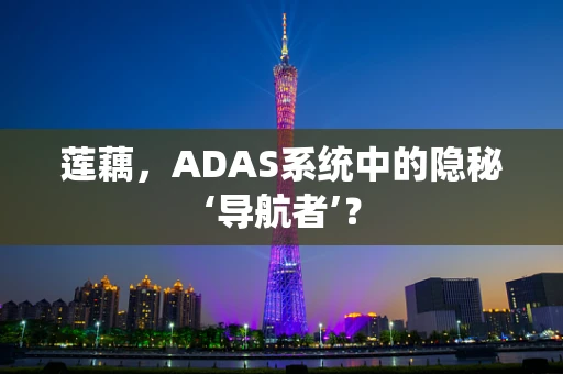 莲藕，ADAS系统中的隐秘‘导航者’？