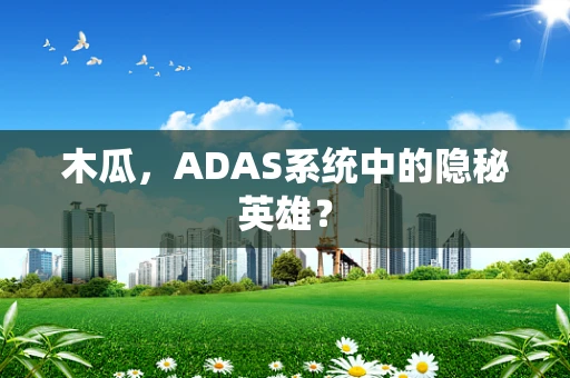 木瓜，ADAS系统中的隐秘英雄？
