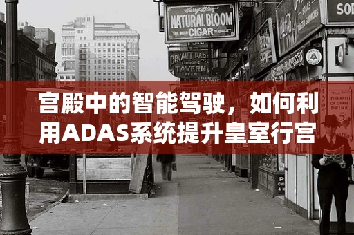 宫殿中的智能驾驶，如何利用ADAS系统提升皇室行宫的安保与导航？