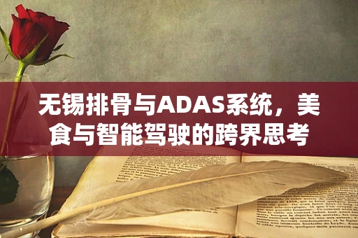 无锡排骨与ADAS系统，美食与智能驾驶的跨界思考
