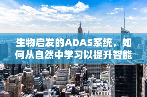 生物启发的ADAS系统，如何从自然中学习以提升智能驾驶？