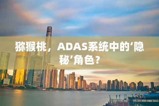 猕猴桃，ADAS系统中的‘隐秘’角色？