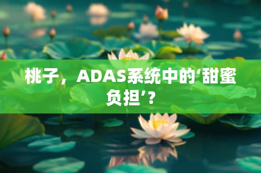 桃子，ADAS系统中的‘甜蜜负担’？