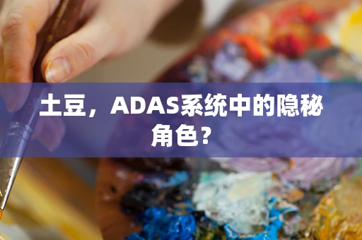 土豆，ADAS系统中的隐秘角色？