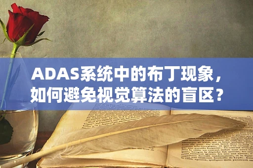 ADAS系统中的布丁现象，如何避免视觉算法的盲区？
