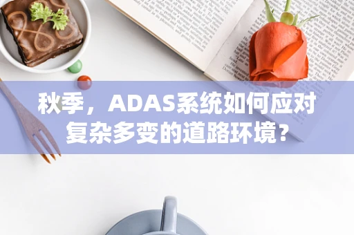 秋季，ADAS系统如何应对复杂多变的道路环境？