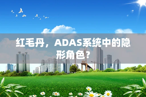 红毛丹，ADAS系统中的隐形角色？