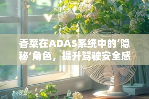 香菜在ADAS系统中的‘隐秘’角色，提升驾驶安全感的奇妙香料？