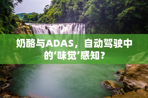 奶酪与ADAS，自动驾驶中的‘味觉’感知？