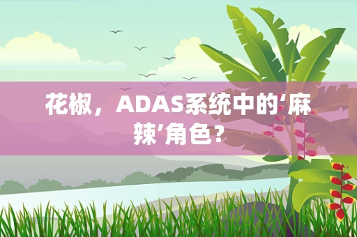 花椒，ADAS系统中的‘麻辣’角色？