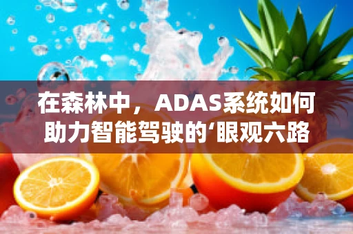 在森林中，ADAS系统如何助力智能驾驶的‘眼观六路’？