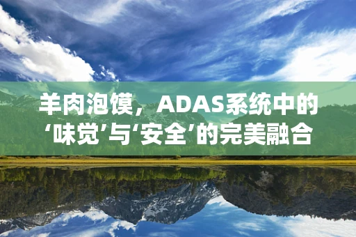 羊肉泡馍，ADAS系统中的‘味觉’与‘安全’的完美融合