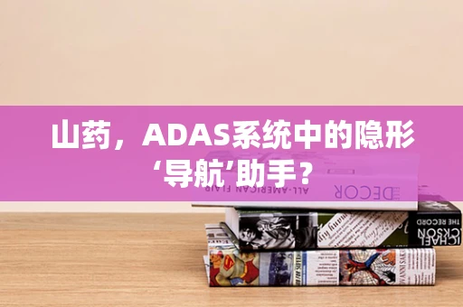 山药，ADAS系统中的隐形‘导航’助手？