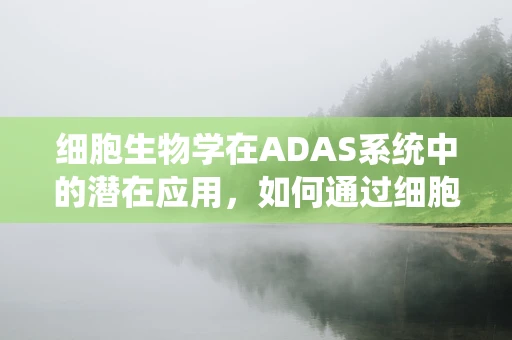 细胞生物学在ADAS系统中的潜在应用，如何通过细胞微环境调控提升系统性能？