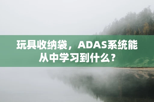 玩具收纳袋，ADAS系统能从中学习到什么？
