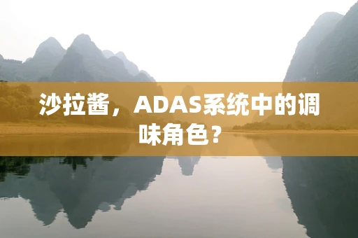 沙拉酱，ADAS系统中的调味角色？