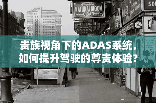 贵族视角下的ADAS系统，如何提升驾驶的尊贵体验？