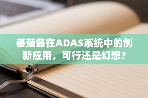 番茄酱在ADAS系统中的创新应用，可行还是幻想？