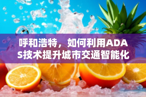 呼和浩特，如何利用ADAS技术提升城市交通智能化水平？