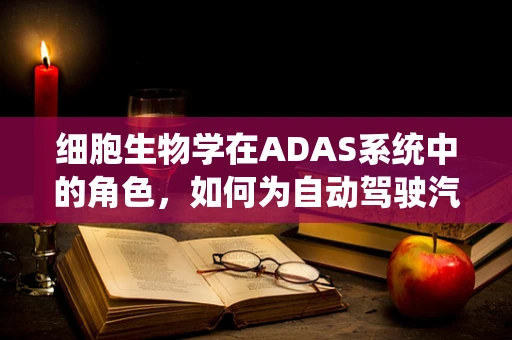 细胞生物学在ADAS系统中的角色，如何为自动驾驶汽车提供‘生物灵感’？