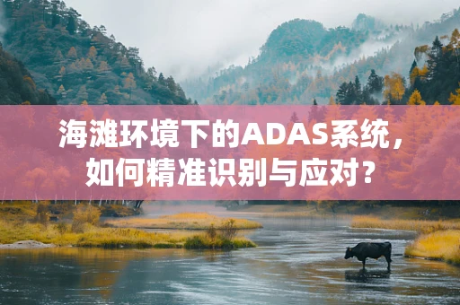 海滩环境下的ADAS系统，如何精准识别与应对？