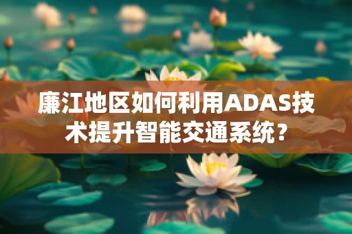廉江地区如何利用ADAS技术提升智能交通系统？