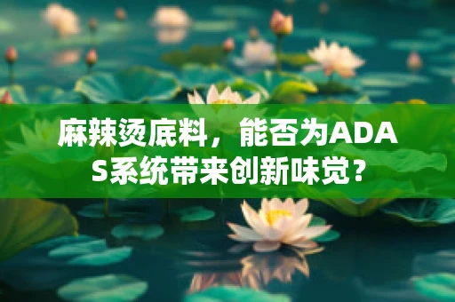 麻辣烫底料，能否为ADAS系统带来创新味觉？