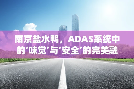 南京盐水鸭，ADAS系统中的‘味觉’与‘安全’的完美融合