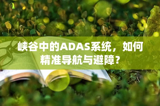 峡谷中的ADAS系统，如何精准导航与避障？