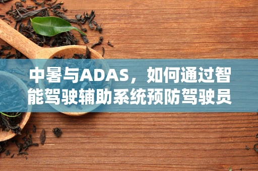中暑与ADAS，如何通过智能驾驶辅助系统预防驾驶员健康危机？