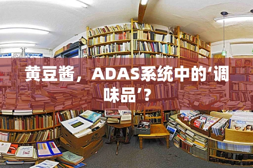 黄豆酱，ADAS系统中的‘调味品’？