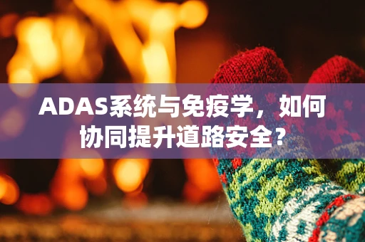 ADAS系统与免疫学，如何协同提升道路安全？
