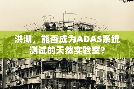 洪湖，能否成为ADAS系统测试的天然实验室？