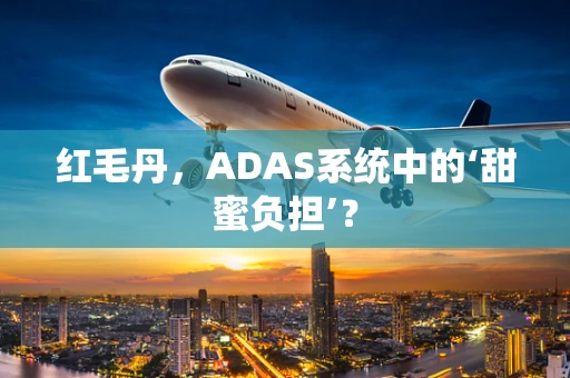 红毛丹，ADAS系统中的‘甜蜜负担’？