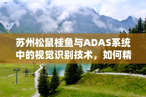 苏州松鼠桂鱼与ADAS系统中的视觉识别技术，如何精准捕捉每一道美味瞬间？