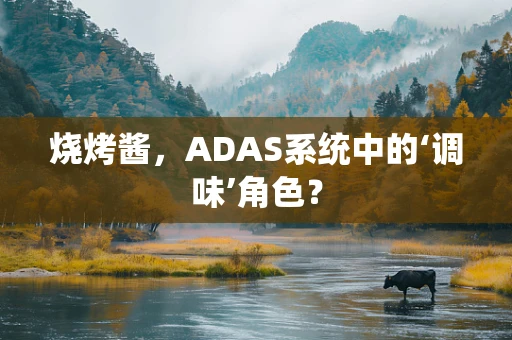 烧烤酱，ADAS系统中的‘调味’角色？