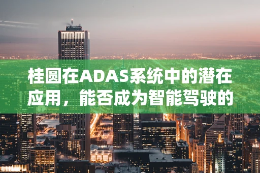 桂圆在ADAS系统中的潜在应用，能否成为智能驾驶的能量果？