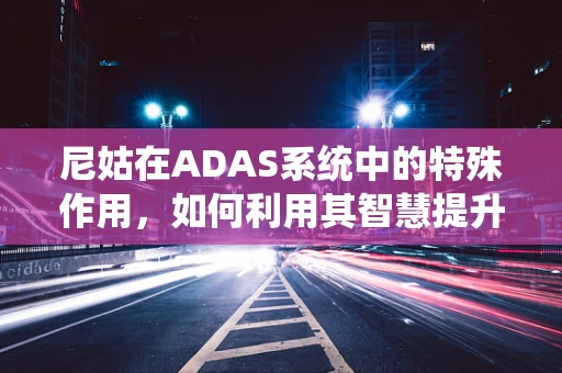 尼姑在ADAS系统中的特殊作用，如何利用其智慧提升道路安全？