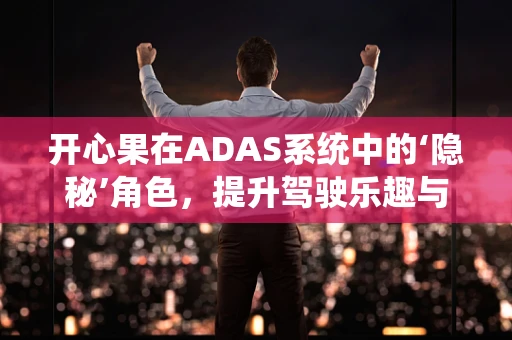 开心果在ADAS系统中的‘隐秘’角色，提升驾驶乐趣与安全的奇妙结合